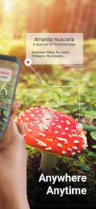 Picture Mushroom – Mushroom ID (PREMIUM) 2.9.22 Apk for Android 2