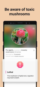 Picture Mushroom – Mushroom ID (PREMIUM) 2.9.22 Apk for Android 3