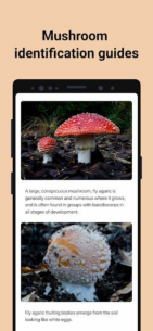 Picture Mushroom – Mushroom ID (PREMIUM) 2.9.22 Apk for Android 4
