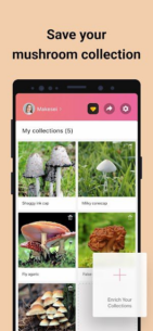 Picture Mushroom – Mushroom ID (PREMIUM) 2.9.22 Apk for Android 5