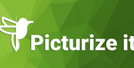 picturize it cover