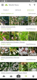 PlantNet Plant Identification 3.18.4 Apk for Android 3