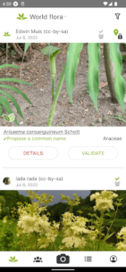 PlantNet Plant Identification 3.18.4 Apk for Android 4