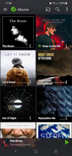 PlayerPro Music Player (Pro) 5.35 Apk for Android 1