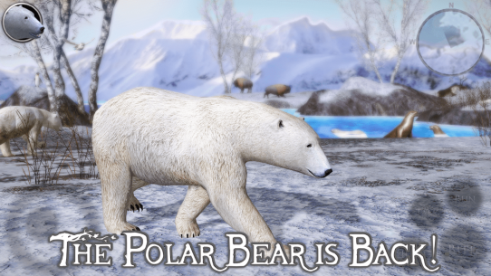 Polar Bear Simulator 2 1.0 Apk for Android 1