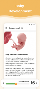 Pregnancy Week By Week 1.2.74 Apk for Android 2