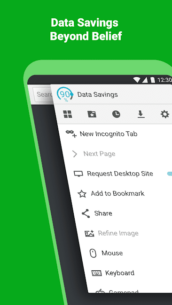 Puffin Web Browser (PRO) 10.2.0.51643 Apk for Android 2