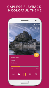 Pulsar Music Player Pro 1.12.2 Apk for Android 2