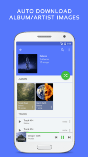 Pulsar Music Player Pro 1.12.2 Apk for Android 3