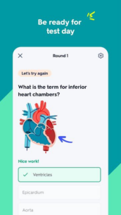 Quizlet: AI-powered Flashcards 8.29.1 Apk for Android 3