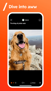 Reddit 2023.16.0 Apk for Android 4