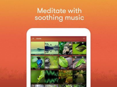 Meditation & Relaxation Music: Calm Sleep Sounds 3.0.5 Apk for Android 5