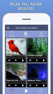 Relaxing Music – Melodies, Sleep Sound, Spa Music (PREMIUM) 1.0 Apk for Android 2