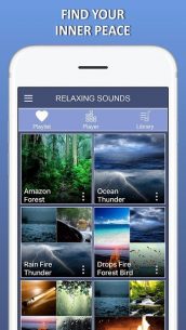 Relaxing Music – Melodies, Sleep Sound, Spa Music (PREMIUM) 1.0 Apk for Android 5