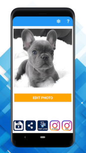 Repost for Instagram – JaredCo 15.58 Apk for Android 4
