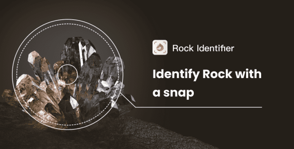 rock identifier cover
