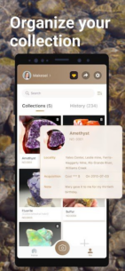 Rock Identifier: Stone ID (PREMIUM) 2.3.36 Apk for Android 3