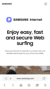 Samsung Internet Browser 24.0.3.4 Apk for Android 1