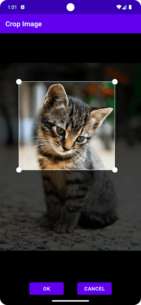 Search By Image (PREMIUM) 9.0.1 Apk for Android 2