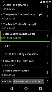 Simple Audiobook Player 1.7.16 Apk for Android 3