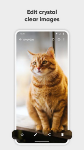 Simple Gallery Pro 6.28.1 Apk + Mod for Android 5