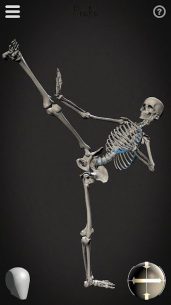 Skelly: Poseable Anatomy Model 1.12 Apk + Mod for Android 3