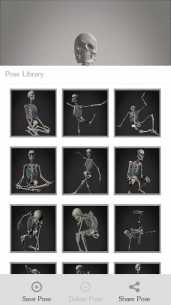 Skelly: Poseable Anatomy Model 1.12 Apk + Mod for Android 4