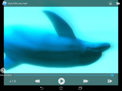 Slow motion/Frame Player 1.3 Apk + Mod for Android 4