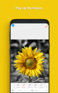 Snap Image Editor (Made in India) 4.5.0 Apk for Android 1