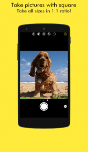 SnapTime : Silent Stamp Camera (PRO) 3.33 Apk for Android 4