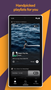 Spotify: Music and Podcasts (PREMIUM) 8.9.18.512 Apk for Android 3