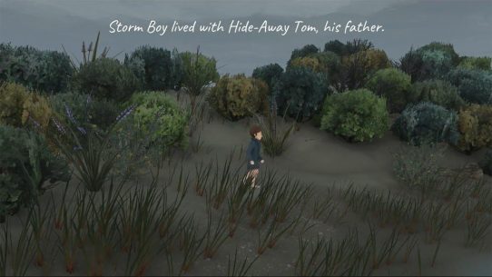 Storm Boy 1.1.0 Apk + Data for Android 1