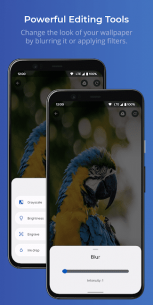 Swift Walls – Wallpapers (PREMIUM) 10.0.0 Apk for Android 5
