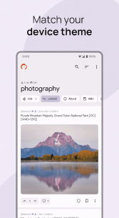 Sync for Reddit (Pro) 23.02.18 Apk for Android 2