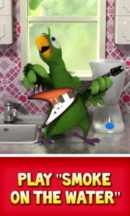 Talking Pierre the Parrot 3.5.0.5 Apk for Android 1