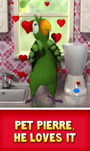 Talking Pierre the Parrot 3.5.0.5 Apk for Android 5
