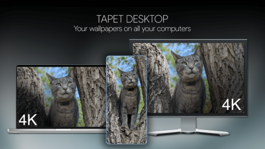 Tapet Wallpapers (PREMIUM) 8.065.003 Apk for Android 4