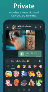 Telegram 6.1.1 Apk for Android 4