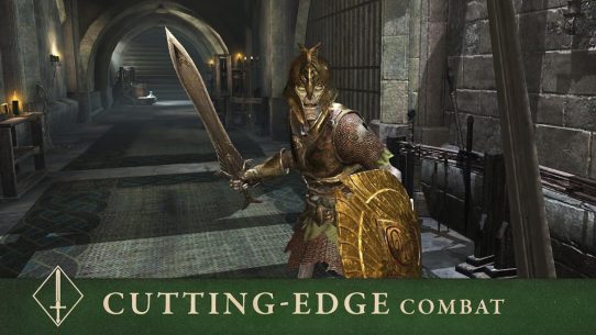 The Elder Scrolls: Blades 1.30.0.3454119 Apk for Android 5