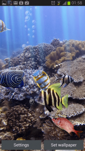 The real aquarium – Live Wallpaper 2.30 Apk for Android 3