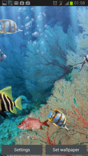 The real aquarium – Live Wallpaper 2.30 Apk for Android 4