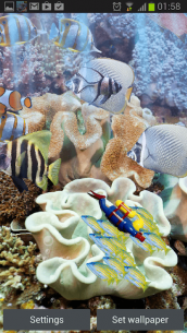 The real aquarium – Live Wallpaper 2.30 Apk for Android 5
