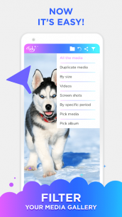 Tidy Gallery – Photos Cleaner & Organizer (PREMIUM) 1.21 Apk for Android 3
