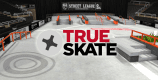 true skate cover