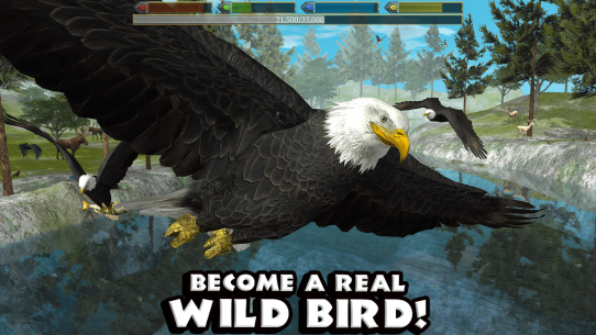 Ultimate Bird Simulator 1.3 Apk for Android 1