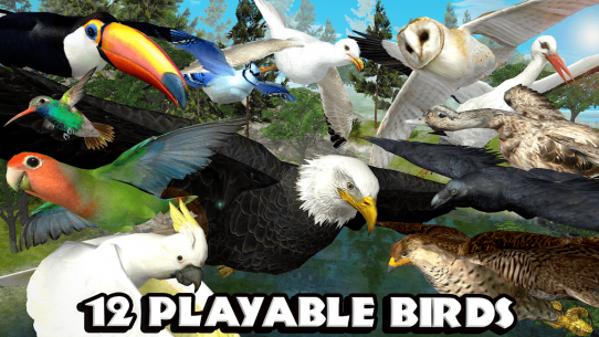 Ultimate Bird Simulator 1.3 Apk for Android 2