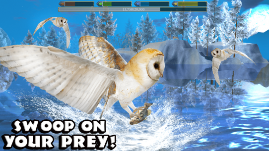 Ultimate Bird Simulator 1.3 Apk for Android 3
