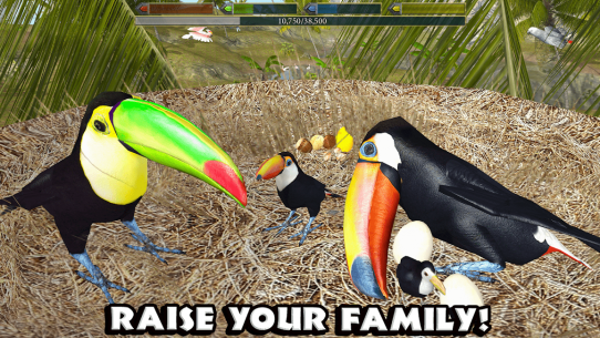 Ultimate Bird Simulator 1.3 Apk for Android 4