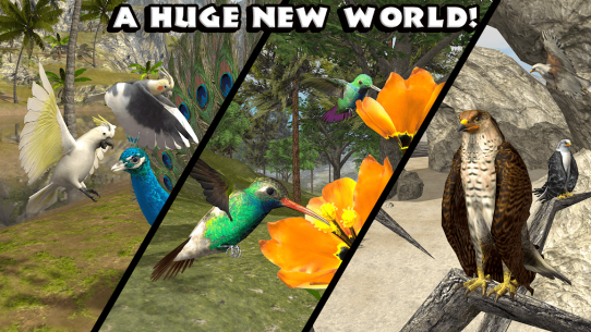 Ultimate Bird Simulator 1.3 Apk for Android 5