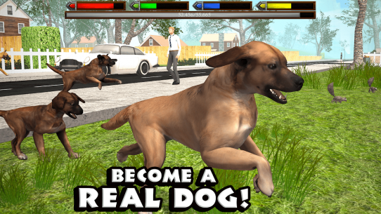 Ultimate Dog Simulator 1.2 Apk + Mod for Android 1